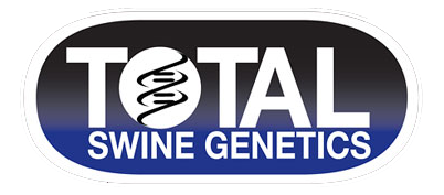 Total Swine Genetics